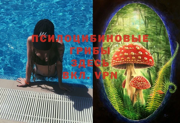спиды Беломорск