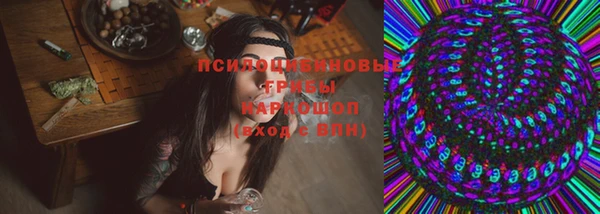 ешки Белокуриха