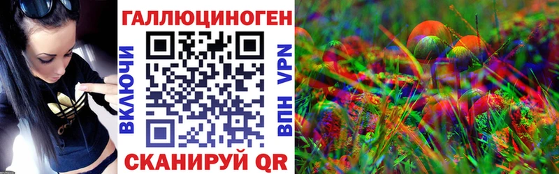 Галлюциногенные грибы Psilocybe Шагонар