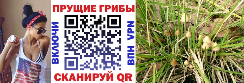 Псилоцибиновые грибы Magic Shrooms  Шагонар 